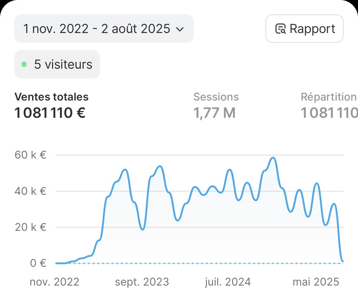 Associés pour restructuration e-commerce