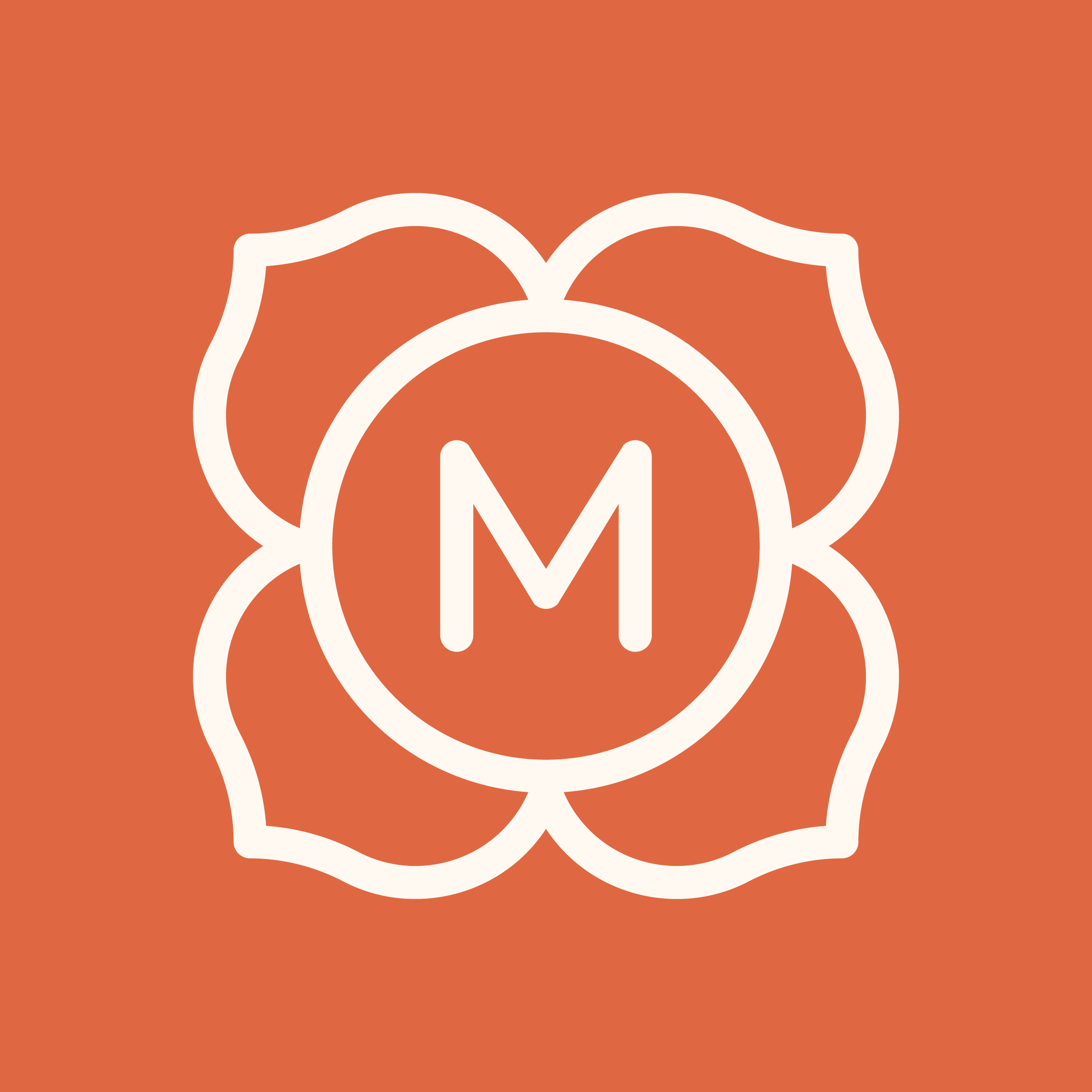 Projet Mulasana