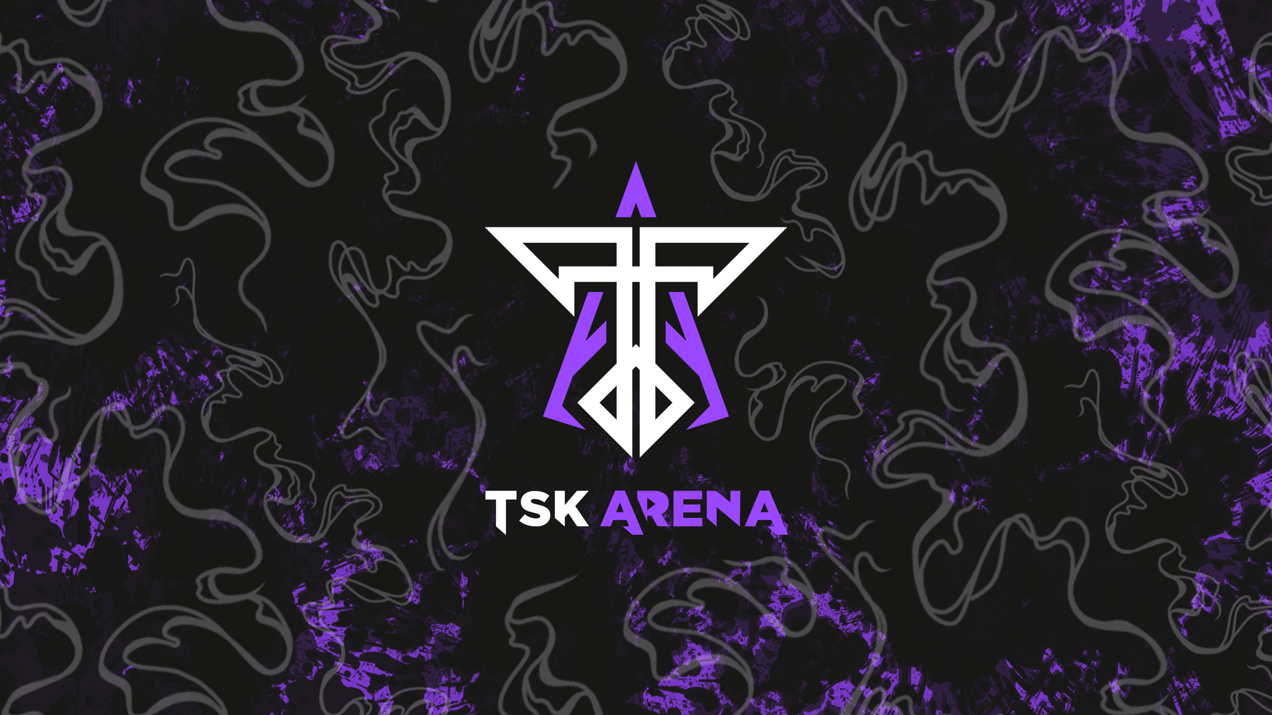 Projet TSK ARENA