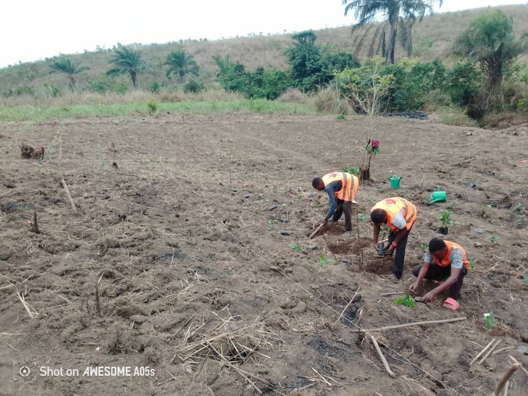 Projet Plantation Café & Cac...