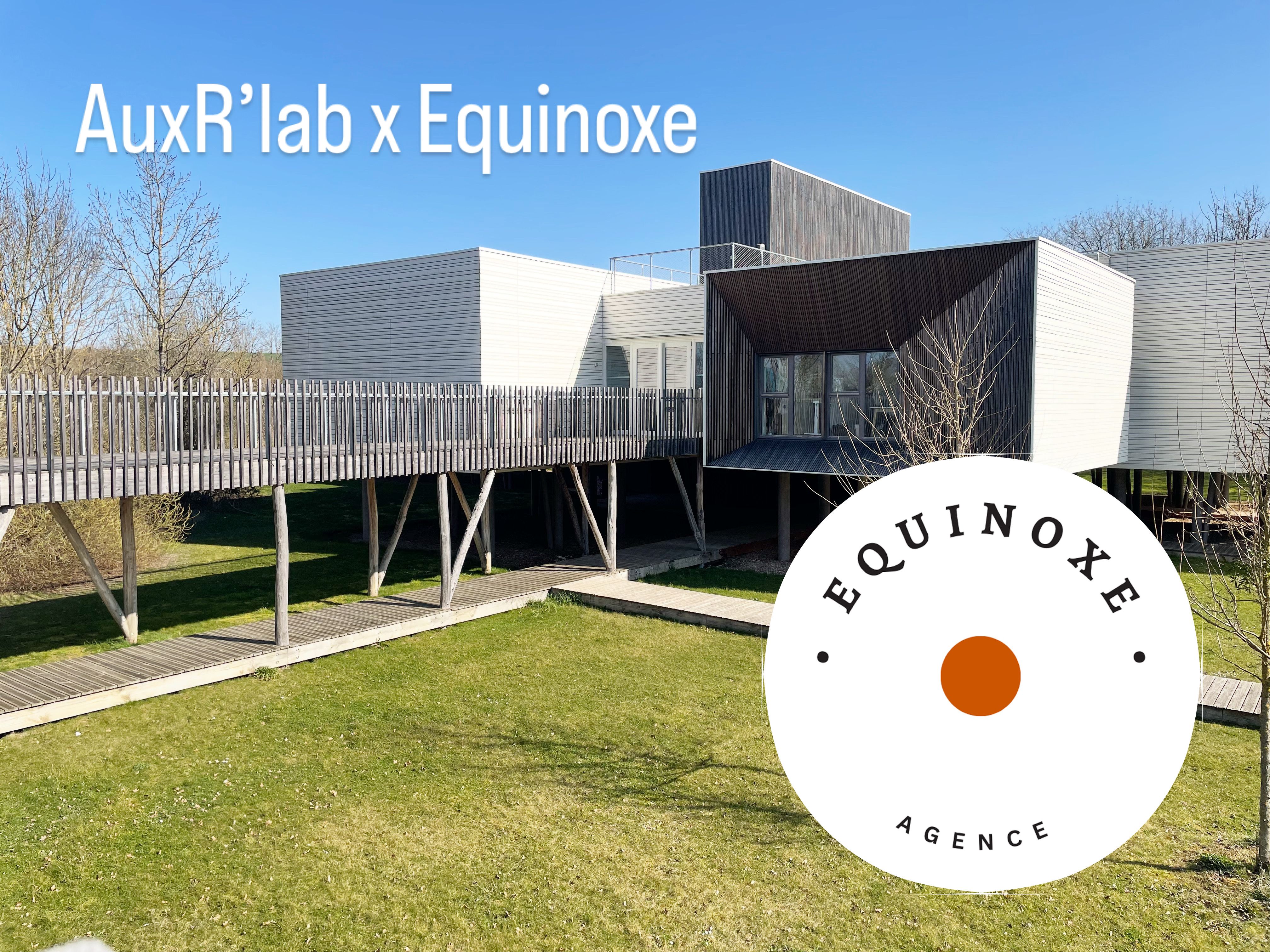 Projet Agence Equinoxe 