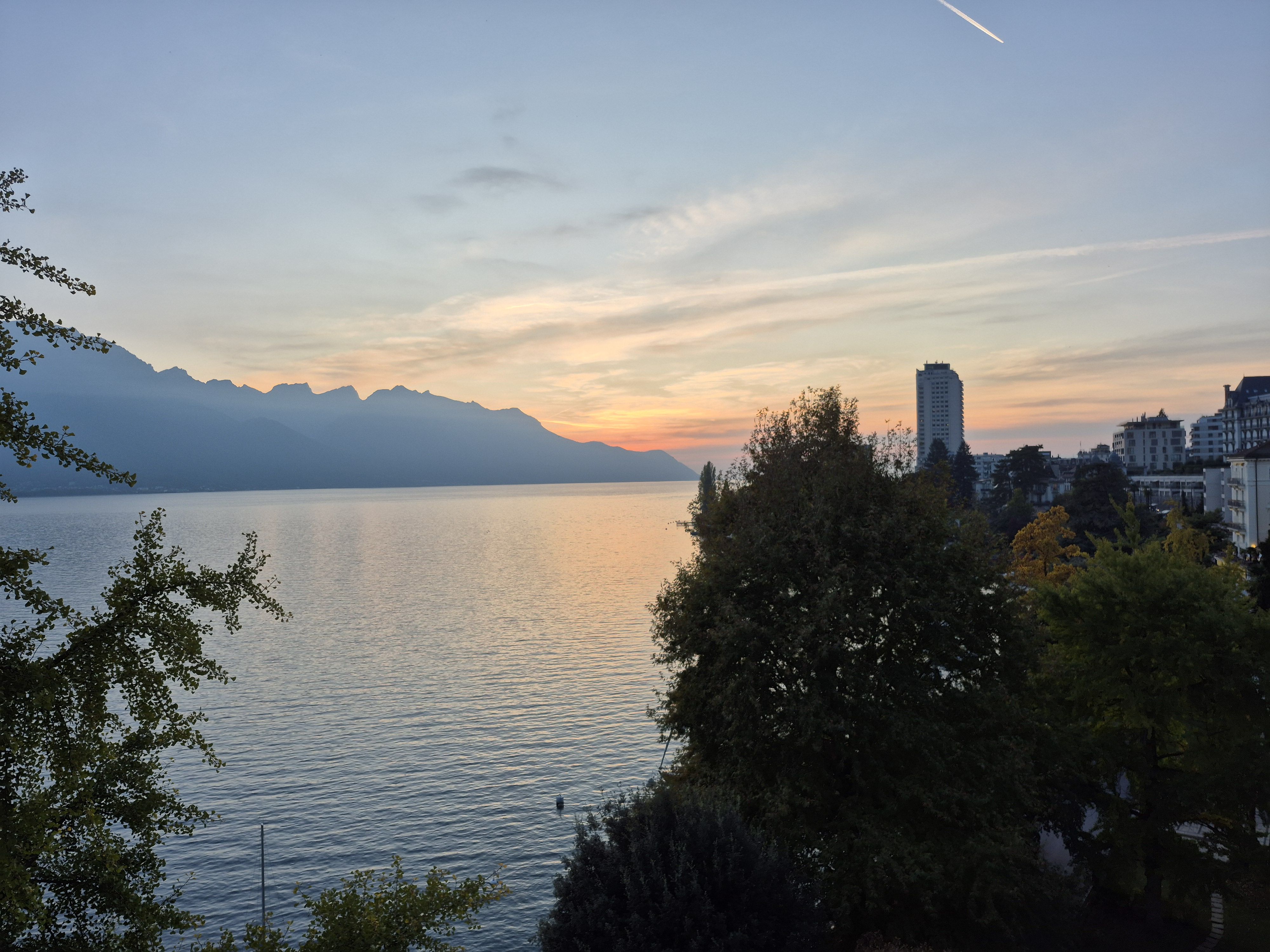 Projet Sauver pro net service...